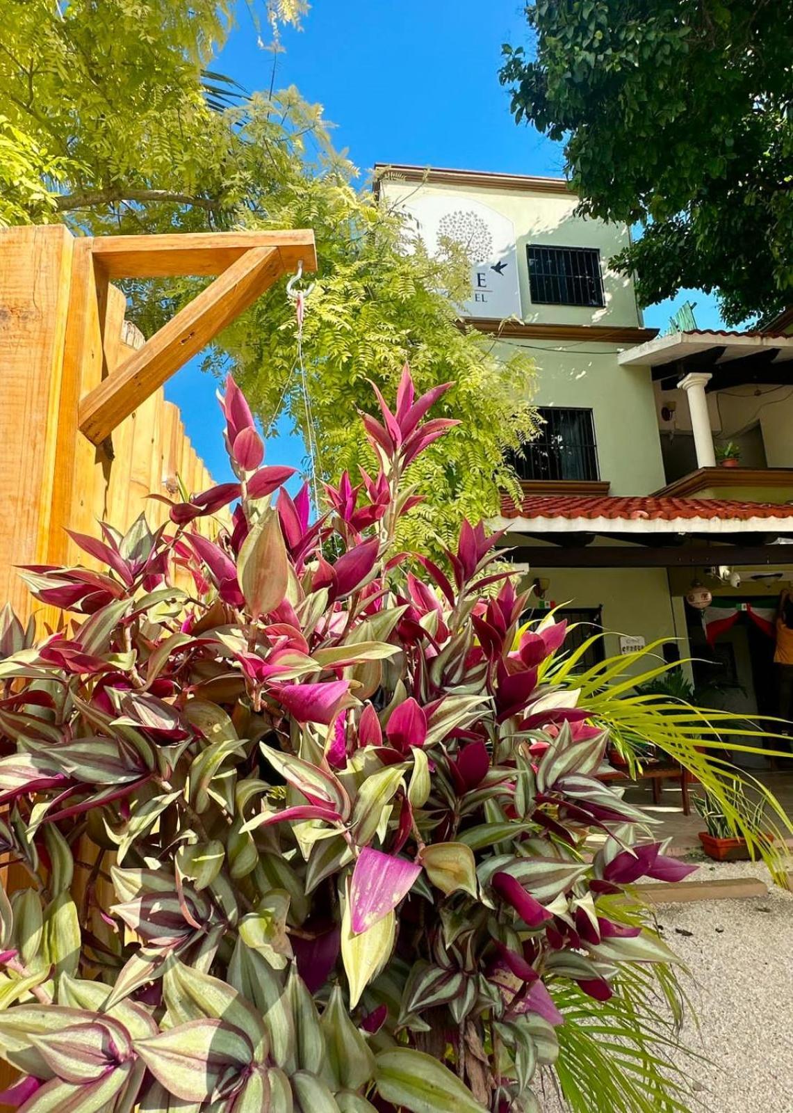 El Roble Hotel Bacalar Eksteriør billede